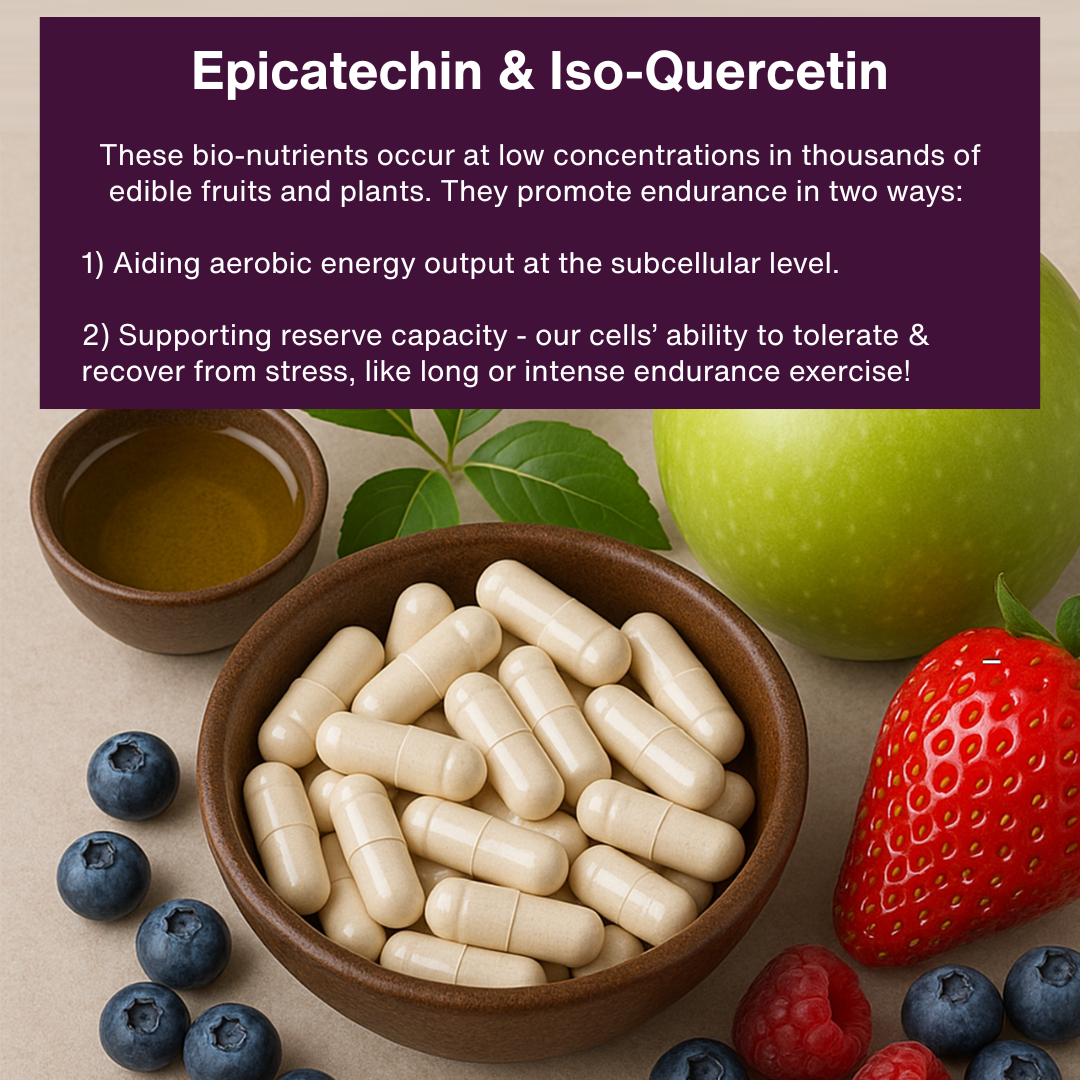 Grit Fuel Endurance Capsules - 30 Capsule Bottle