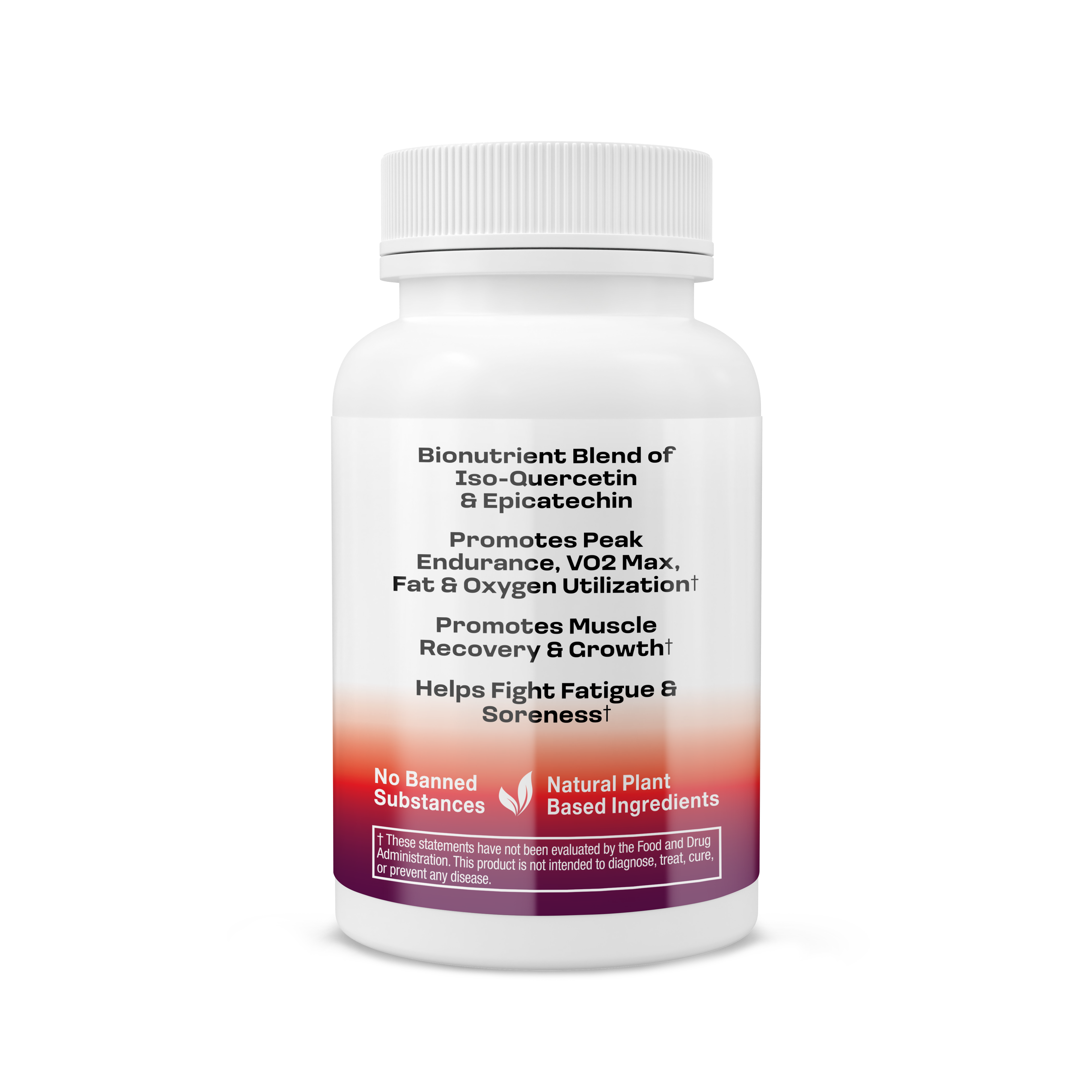 Grit Fuel + Half-Price Gain Grog Protein Bundle