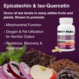 Grit Fuel Endurance Capsules - 30 Day Supply