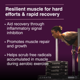 Grit Fuel Endurance Capsules - 30 Capsule Bottle