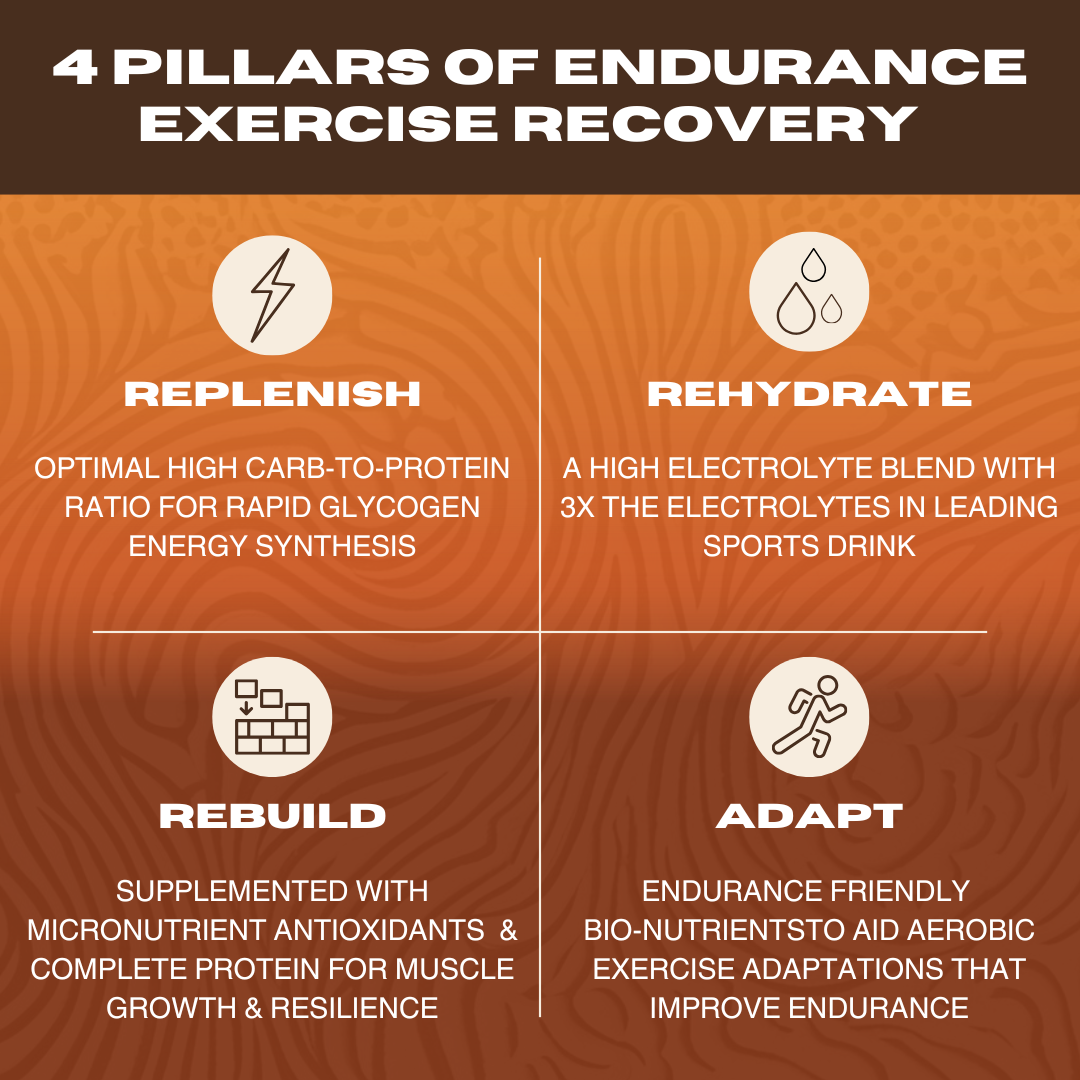 ENDURANCE DRINK TRIAL PACK - 6 Stick Packs