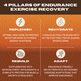 ENDURANCE DRINK TRIAL PACK - 6 Stick Packs